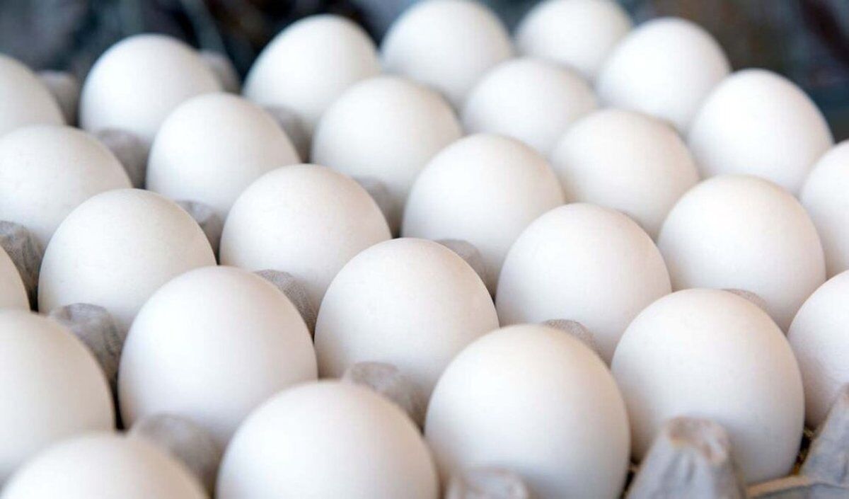 ۲۹ هزار تومان قیمت هر کیلوگرم تخم مرغ در بازار خراسان رضوی