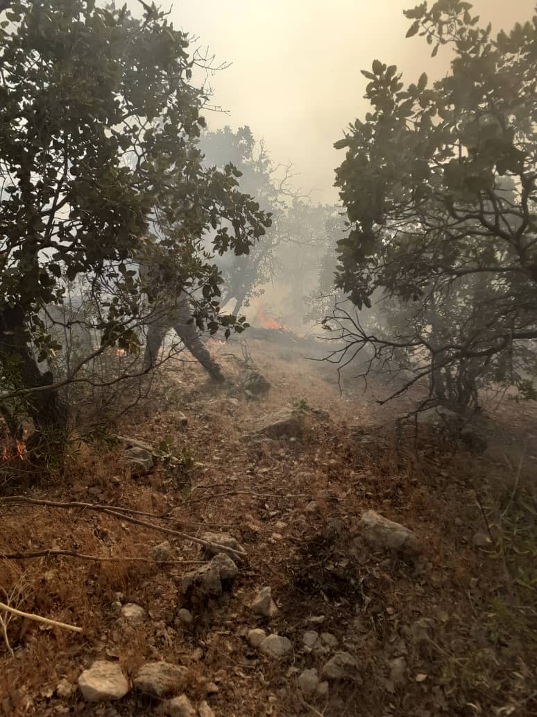 آتش سوزی جنگلها و منابع طبیعی میانکوه و بیاره