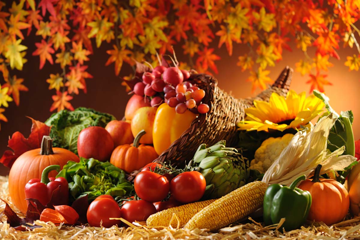 نکات مهم تغذیه‌ای در فصل پاییز