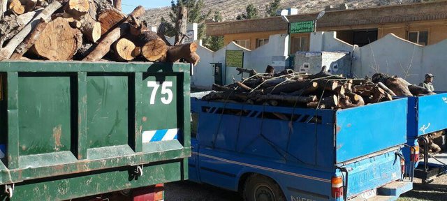کشف ۴ تن چوب‌آلات جنگلی قاچاق در استان اردبیل