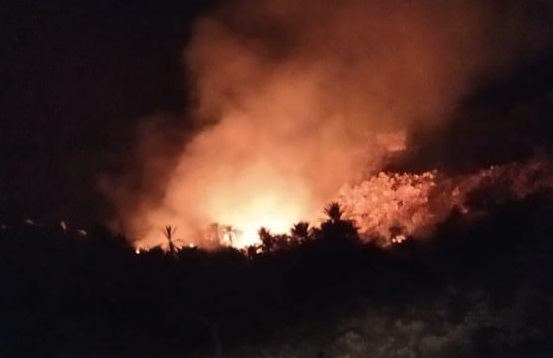 آتش‌سوزی نخلستان در ارتفاعات پارسیان