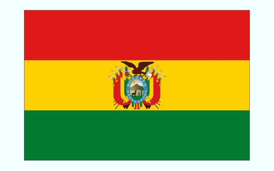 رئیس جمهور بولیوی: در کشور ما «کودتا» رخ داده بود