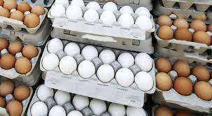 کاهش قیمت تخم مرغ  با عرضه بیشتر دربازار خراسان رضوی