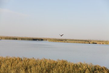 احیای تالاب کانی برازان مهاباد با رهاسازی آب از سد مهاباد