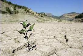 خسارت ۲۰ میلیارد تومانی به بخش کشاورزی اندیکا