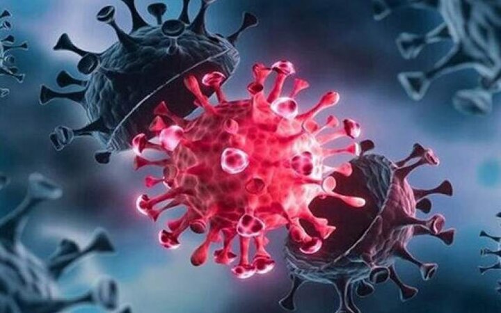 شناسایی ۱۰۰ مورد جدید مبتلا به کرونا ویروس در ایلام