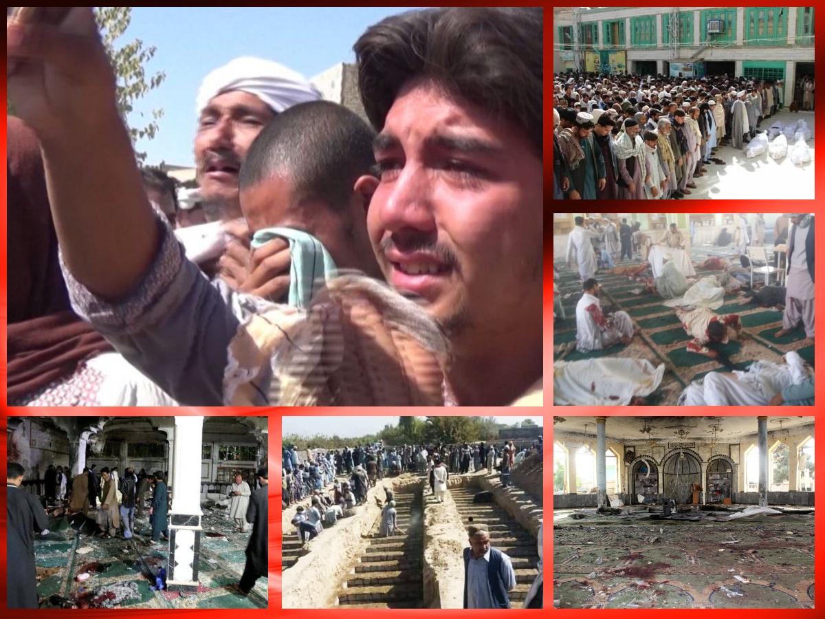 تحلیل روز؛ شیعیان، قربانی ناامنی در افغانستان