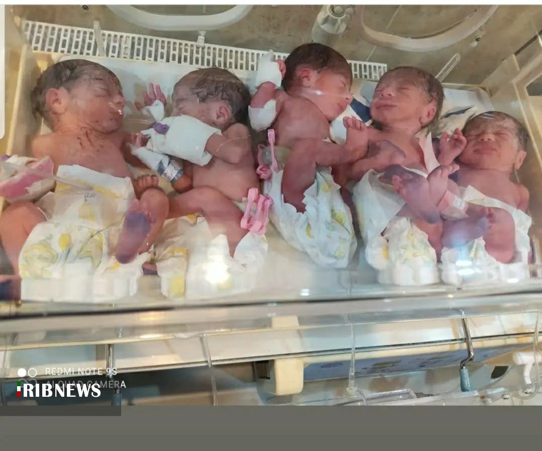 تولد نوزاد‌های ۵ قلو در ماکو