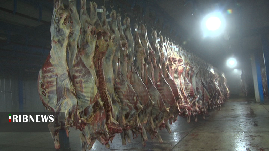نصب برچسب کیفیت بر روی گوشت در کشتارگاههای صنعتی استان اردبیل