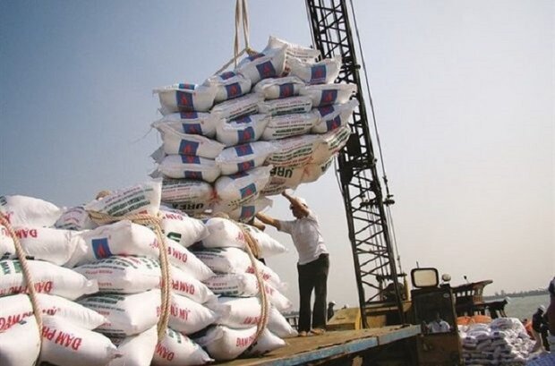 ۶۰۰ تن برنج وارداتی، سهم استان مرکزی