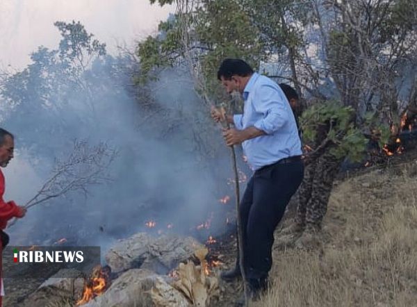 شعله ور بودن آتش درمنطقه حفاظت شده کوه دیل گچساران
