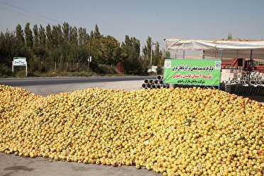 آغاز خرید نامحدود سیب صنعتی آذربایجان غربی توسط آستان قدس رضوی