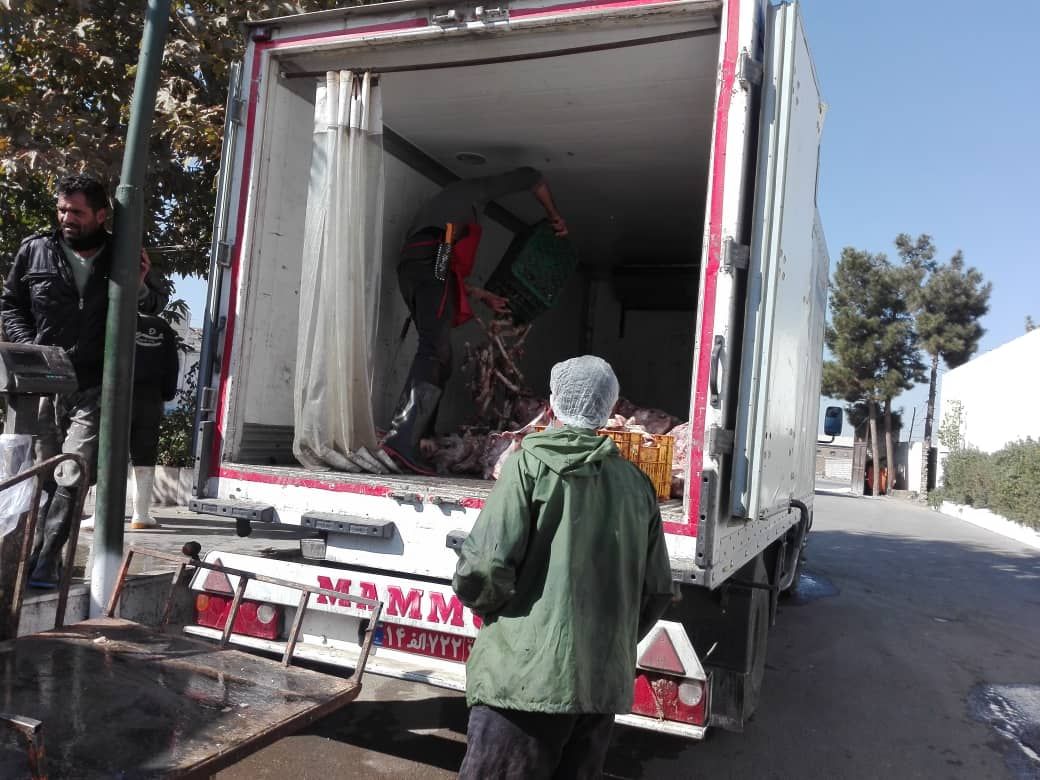 امحاء بیش از ۱۲۰۰ کیلوگرم گوشت قرمز غیر بهداشتی در شهرستان طرقبه شاندیز