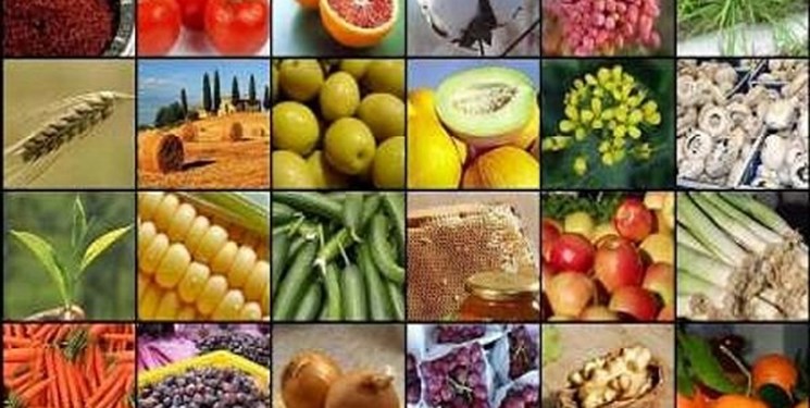 سهم ۷۰ درصدی محصولات صنایع تبدیلی در صادرات کشاورزی فارس