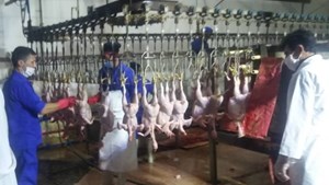 اجرای طرح نظارت بر تولید، توزیع و عرضه مرغ و تخم مرغ در فارس