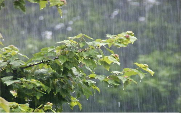 ادامه سامانه بارشی در استان تا سه شنبه