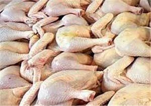 توقیف بیش از ۷ تن مرغ بدون مجوز در رودسر