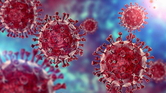 ابتلا ۱۱۶ نفر به کرونا ویروس در استان مرکزی 