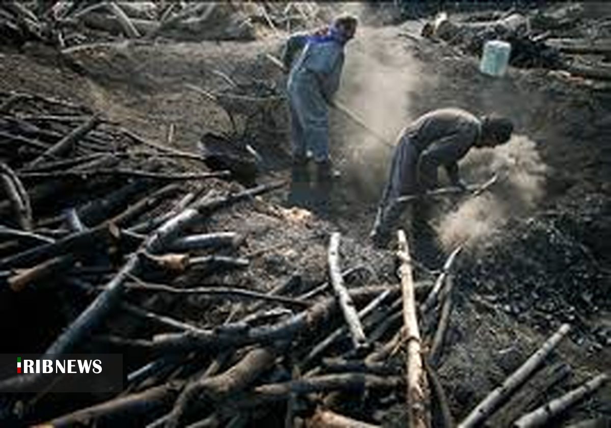 تخریب کوره زغال سازی غیرمجاز در شهرستان بندرلنگه