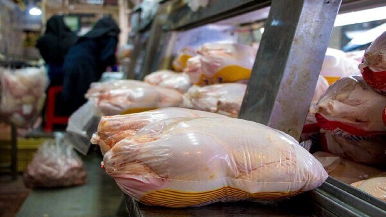اعلام مراکز عرضه مرغ منجمد تنظیم بازار در بندر ماهشهر