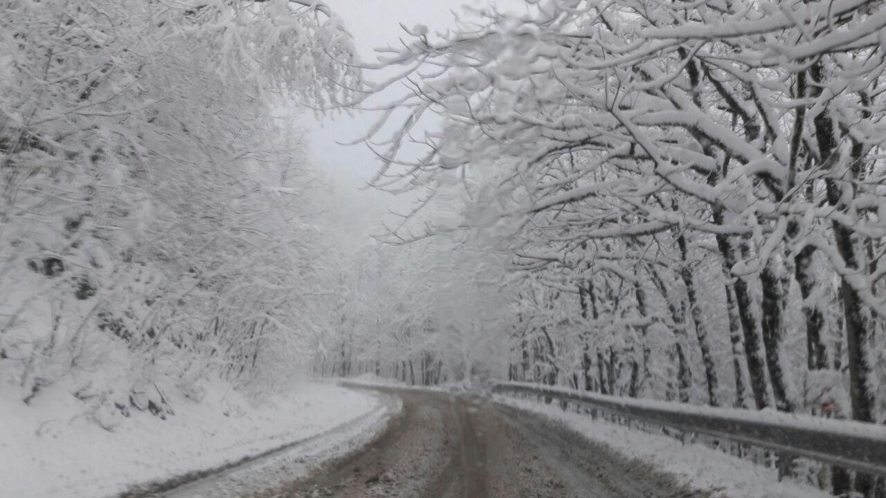 بارش برف در کوهستان ها / همه جاده های گیلان باز است
