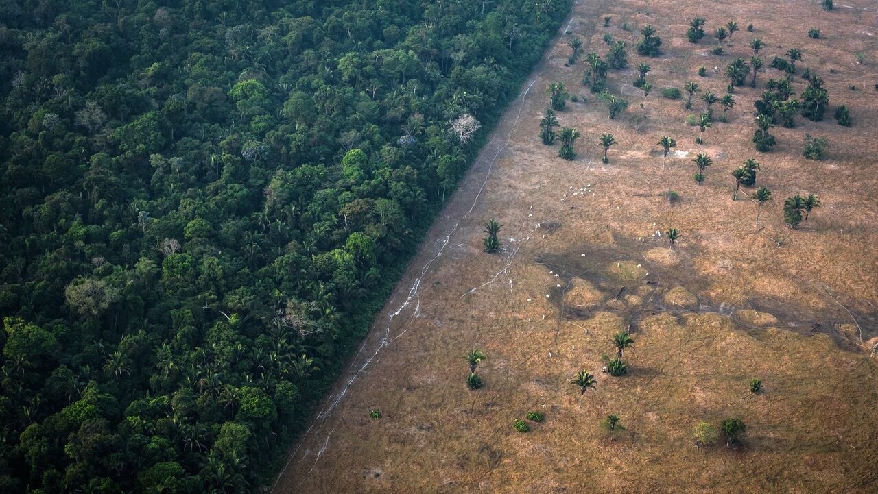 افزایش بی سابقه جنگل زدایی در آمازون برزیل