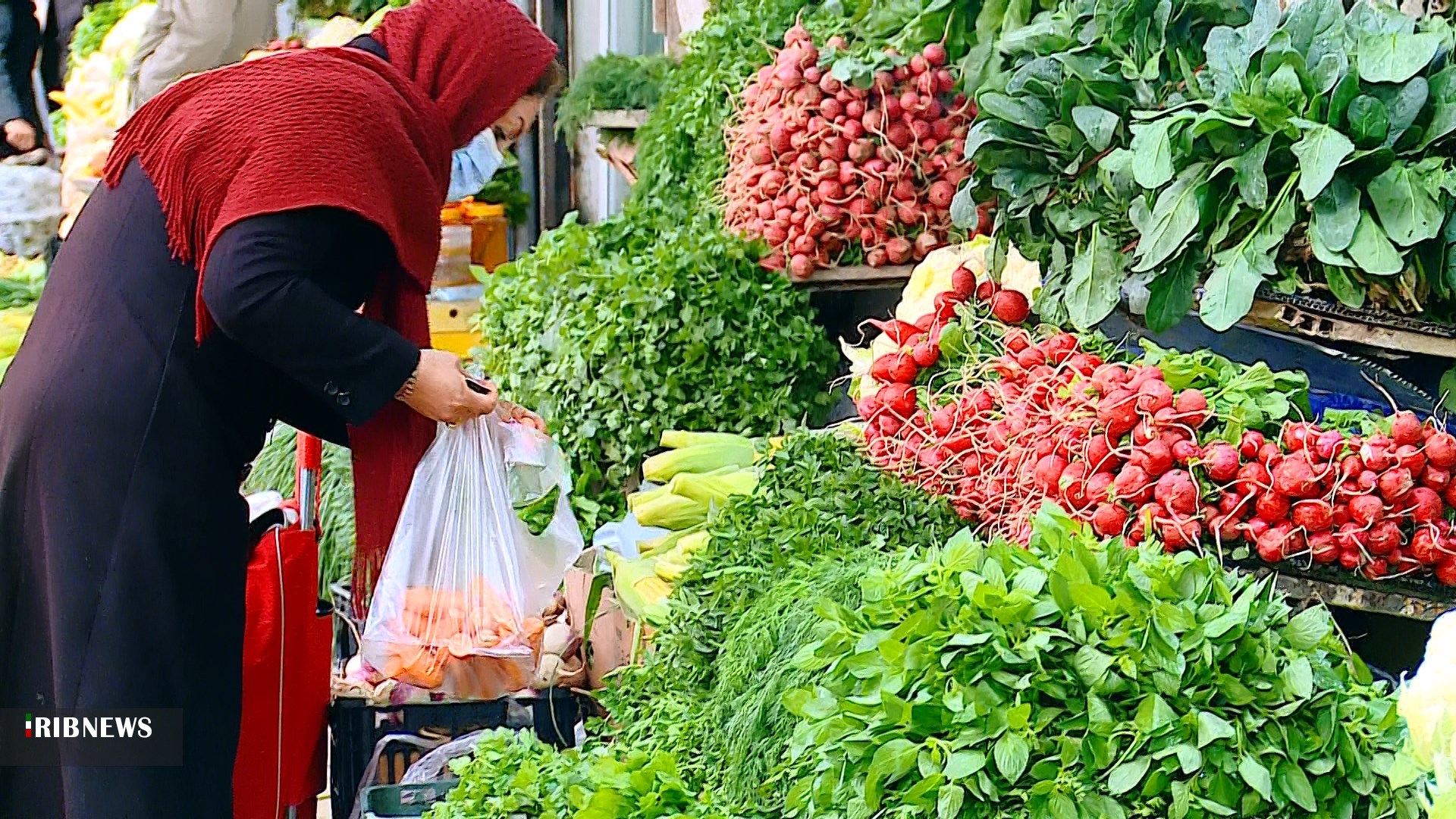 گزارش مکتوب: میوه ارزان ولی گران