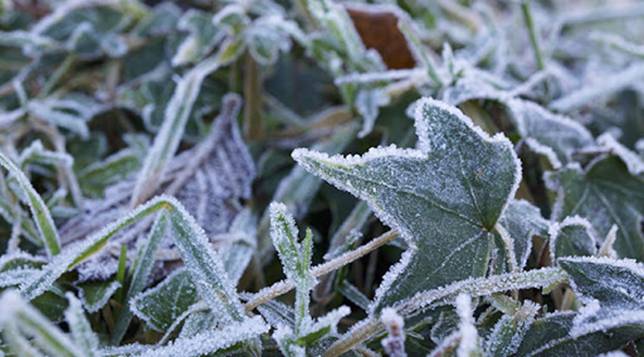 سرما و یخبندان شبانه در مناطق سردسیری خراسان جنوبی