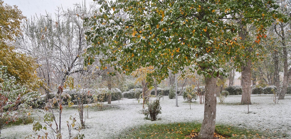 بارش اولین برف پاییزی در اردبیل