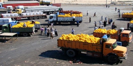 صادرات ۱۶۹ هزار تن محصولات کشاورزی به عراق