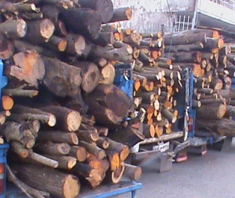 توقیف ۳ محموله قاچاق چوب در شهرستان باشت