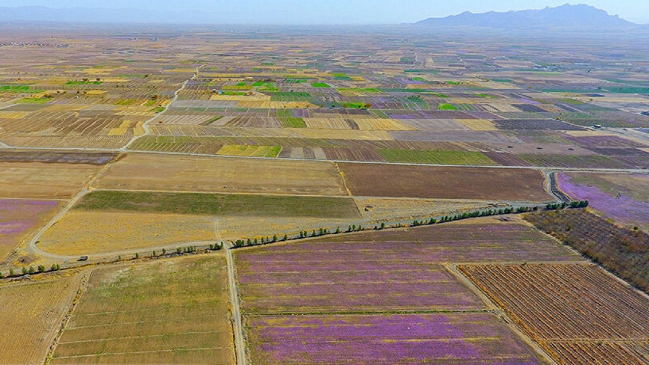رفع تصرف ۱۱۰ هزار متر اراضی ملی در تربت حیدریه