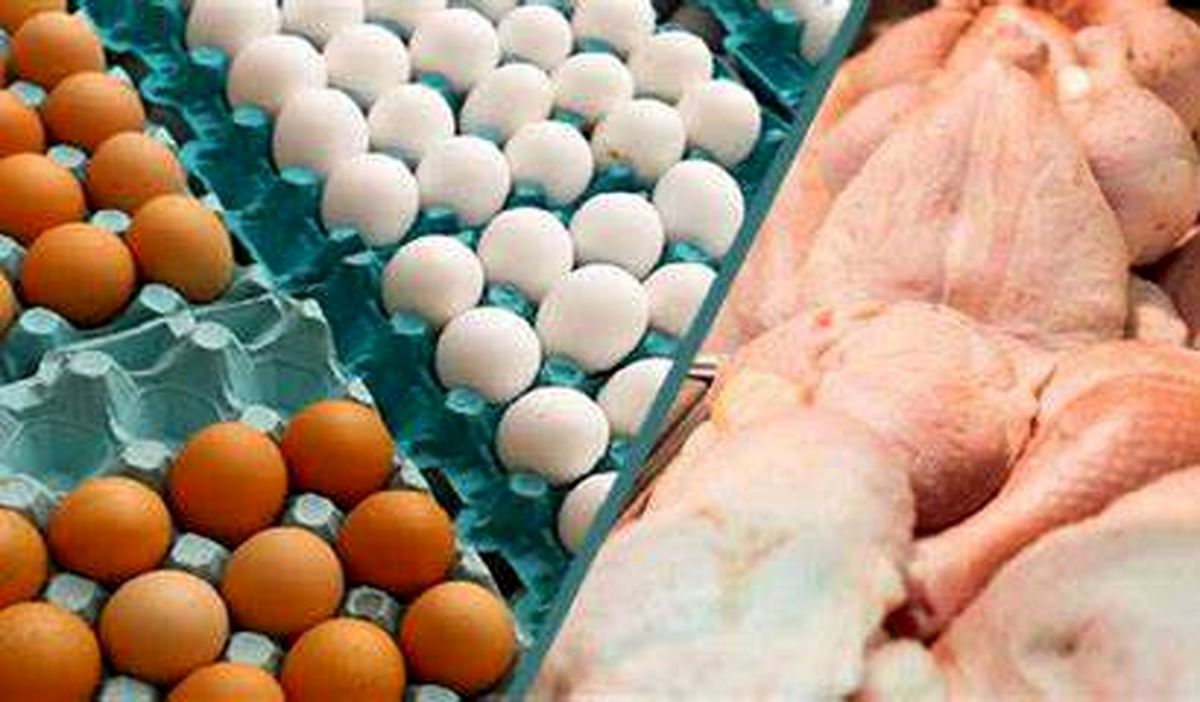 تعیین قیمت مصوب مرغ و تخم مرغ در یزد