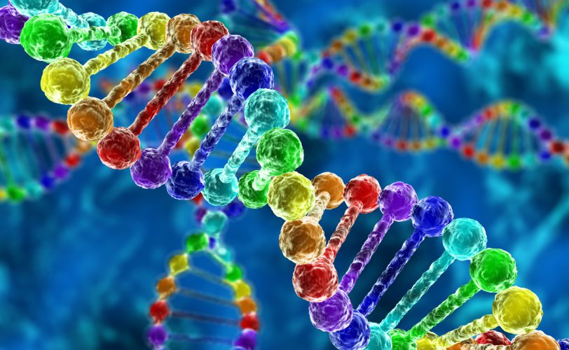 آغازکنفرانس بین المللی ژنتیک و ژنومیکس انسانی در دانشگاه یزد