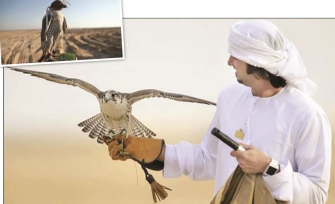 صادر نشدن پروانه شکار برای قطری ها