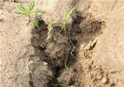 فرسایش خاک در چهارمحال و بختیاری بالاتر از میانگین کشوری