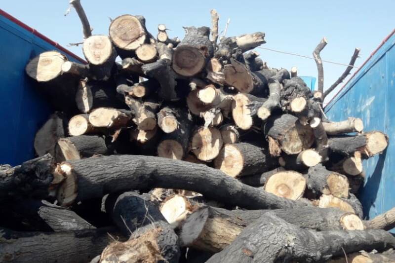 توفیف محموله غیر مجاز چوب درختان جنگلی در دزفول