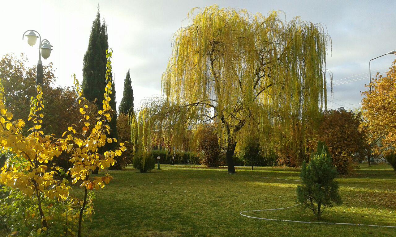 آسمان فارس کمی ابری همراه با وزش باد