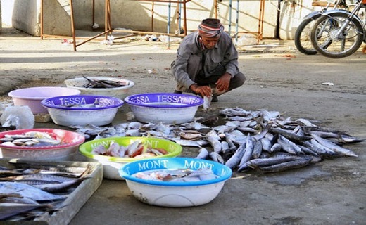 ساماندهی ماهی فروش‌ها در شادگان