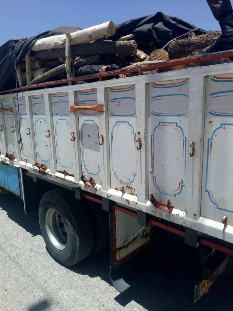 کشف ۱۰ تن چوب قاچاق در عملیات پلیس فراهان