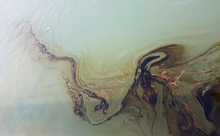جمع آوری آلودگی نفتی در منطقه حفاظت شده کُرایی