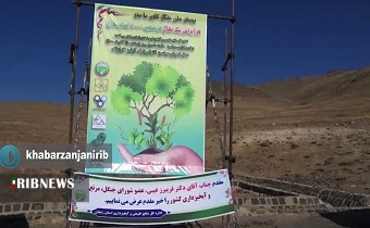 پویش هر شهید ،هزار اصله درخت ؛ در زنجان