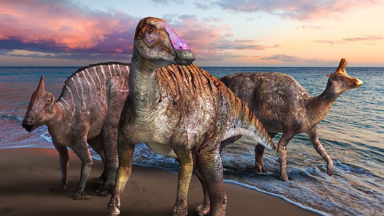 شگفت انگیزترین دایناسور‌های کشف شده در ۲۰۲۱