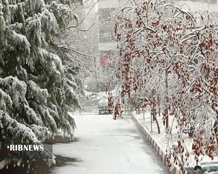 بارش برف و باران همچنان ادامه دارد