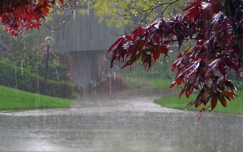 ۵۰ میلیمتر بارش باران در مورموری ثبت شد