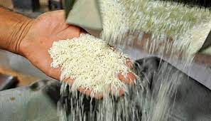 محکومیت قاچاقچی برنج در دشت آزادگان