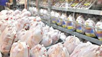 تشکیل 11 فقره پرونده تخلف در عرضه گوشت مرغ در پیرانشهر