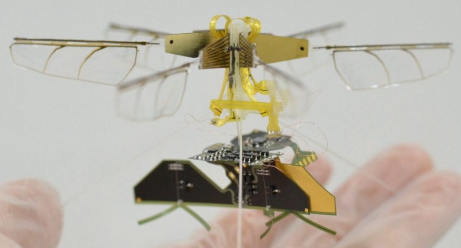 پرواز ربات حشره بدون باتری