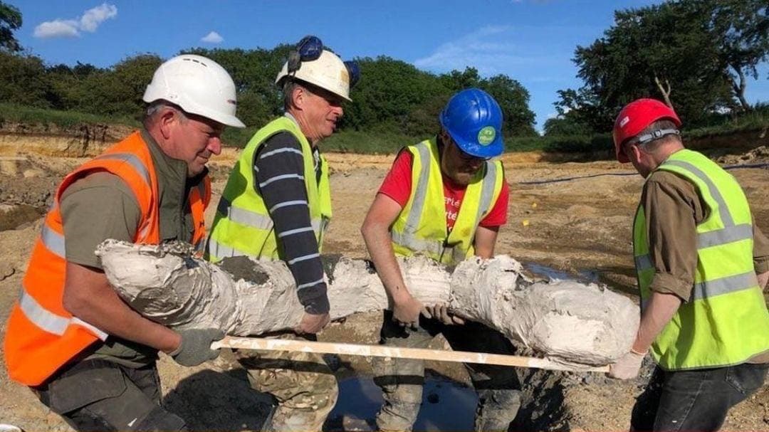 کشف بقایای پنج ماموت عصر یخبندان در انگلستان
