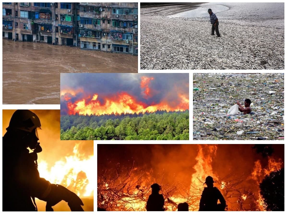 از واژگونی اتوبوس تا نابودی درختان غول پیکر جهان در آتش